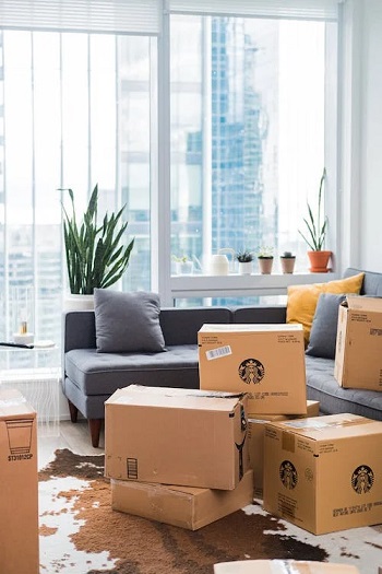move-solutions relocari bucuresti