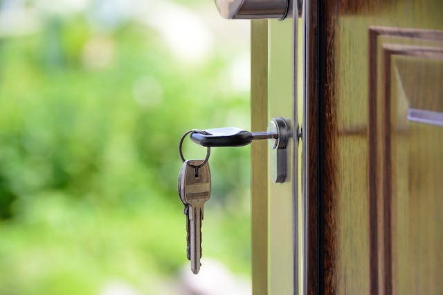 move-solutions relocari bucuresti