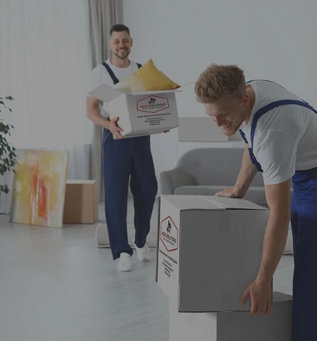 move-solutions relocari bucuresti