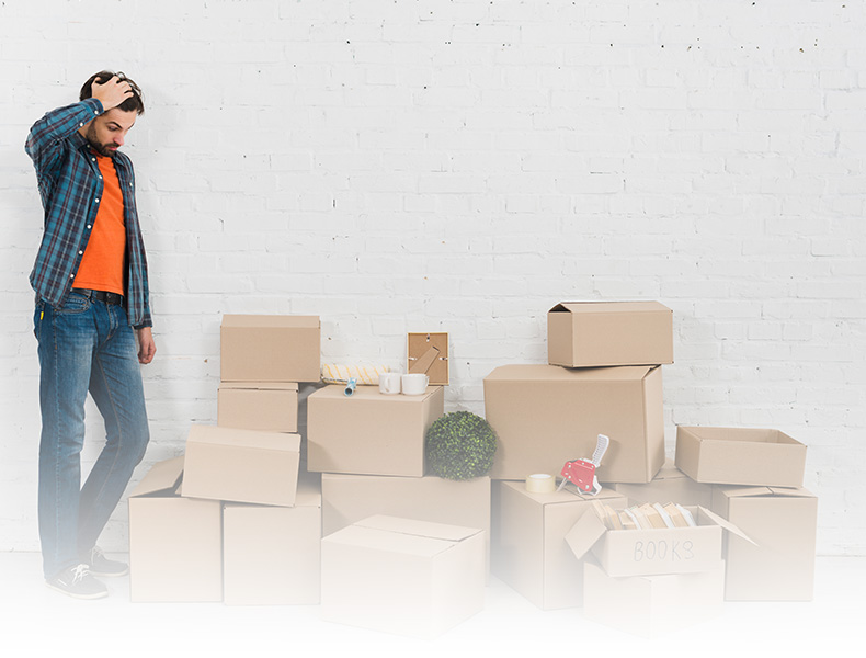 move-solutions relocari bucuresti