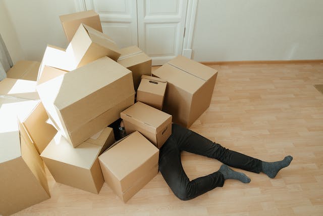 move-solutions relocari bucuresti